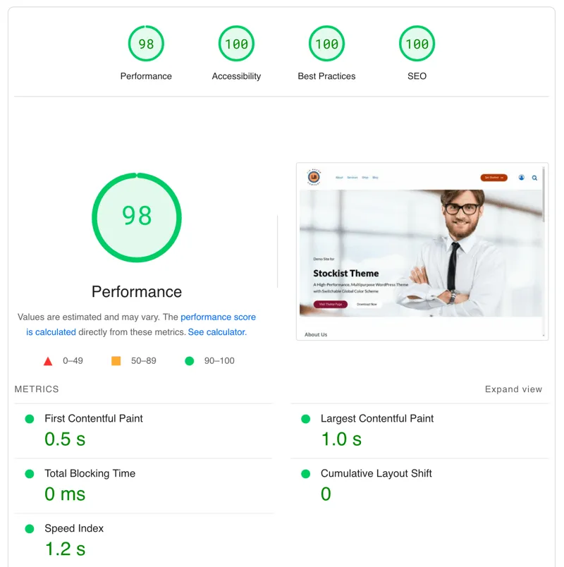 Google PageSpeed Insights Report